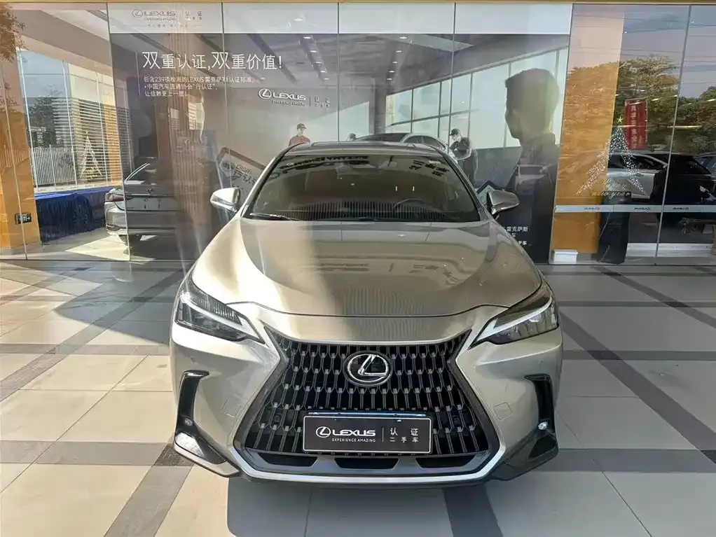 Lexus NX 2023 из CN, фото 10