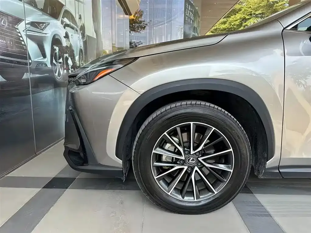 Lexus NX 2023 из CN, фото 5