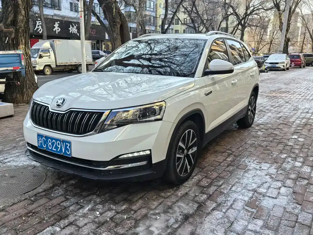 Skoda Kamiq — фото 10