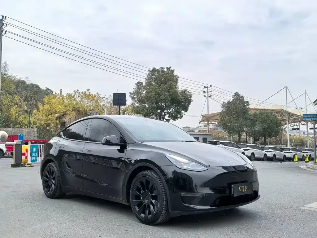 Tesla Model Y — фото 1