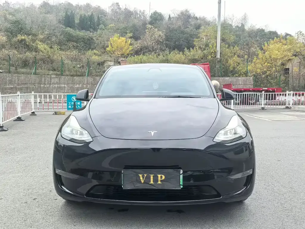 Tesla Model Y — фото 4