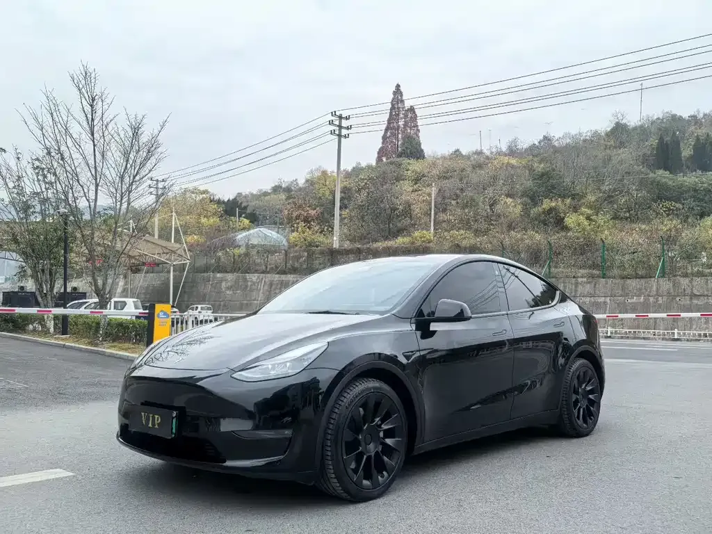 Tesla Model Y — фото 2