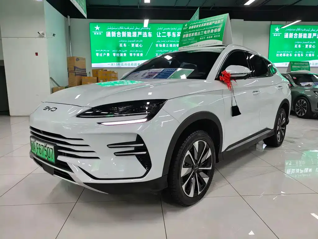 BYD PLUS New Energy 2024 из CN, фото 1