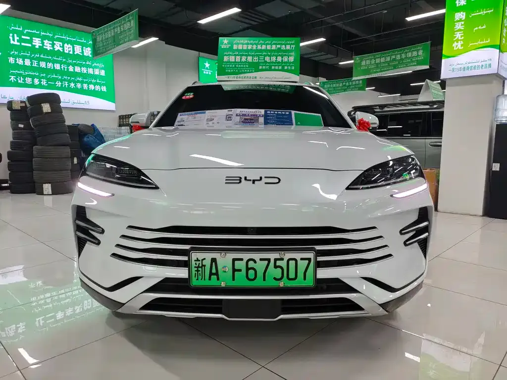 BYD PLUS New Energy 2024 из CN, фото 7