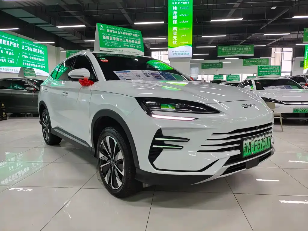 BYD PLUS New Energy 2024 из CN, фото 10