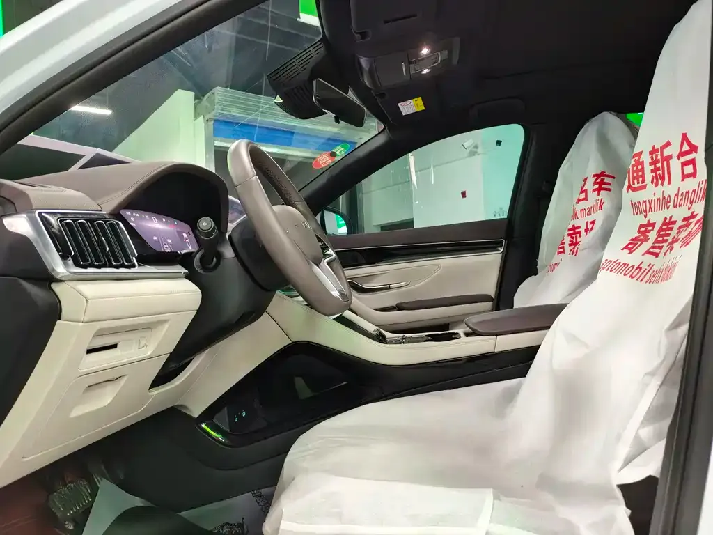 BYD PLUS New Energy 2024 из CN, фото 9
