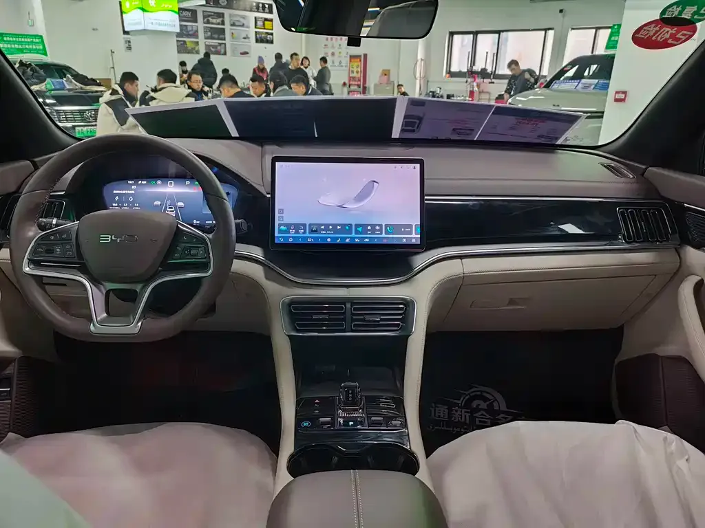 BYD PLUS New Energy 2024 из CN, фото 3