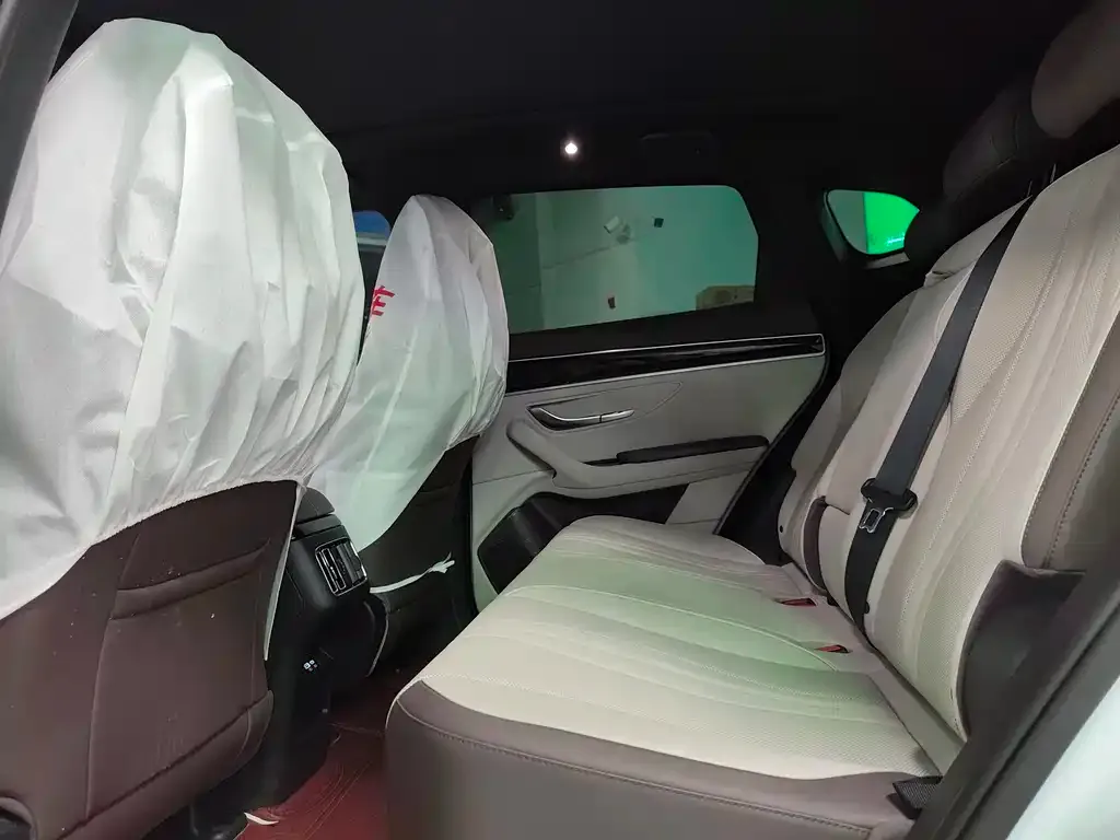 BYD PLUS New Energy 2024 из CN, фото 2