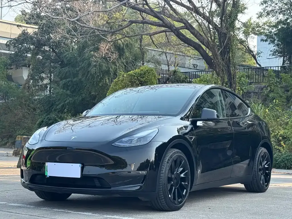 Tesla Model Y 2021 из CN, фото 1