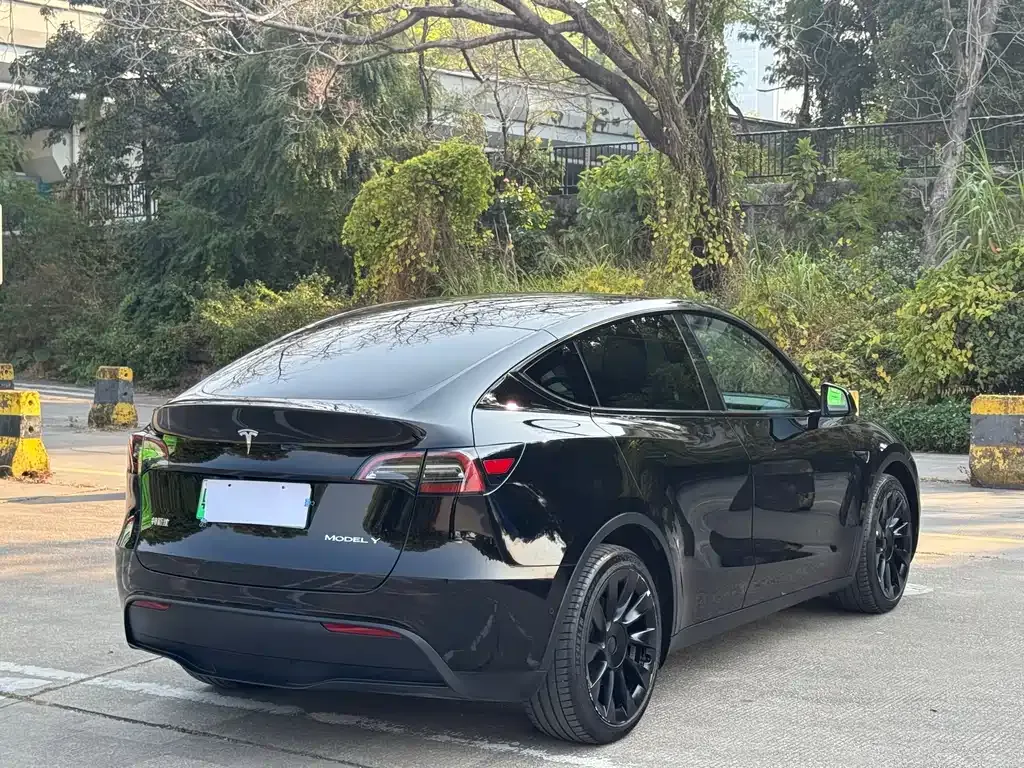 Tesla Model Y 2021 из CN, фото 9