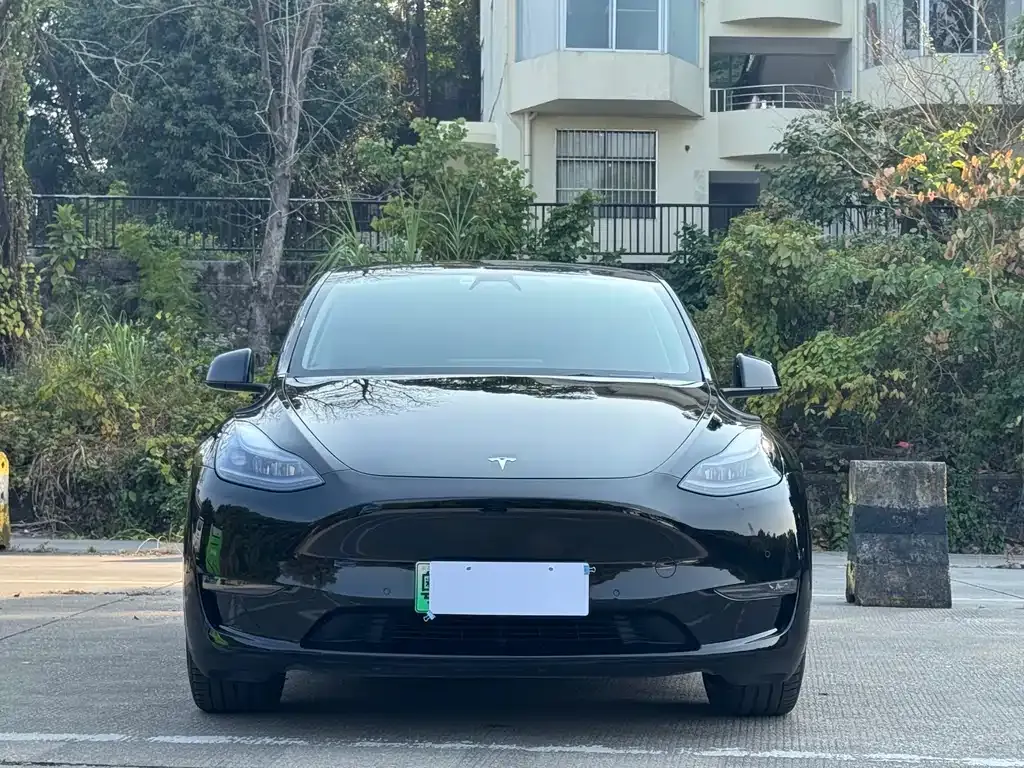 Tesla Model Y 2021 из CN, фото 7