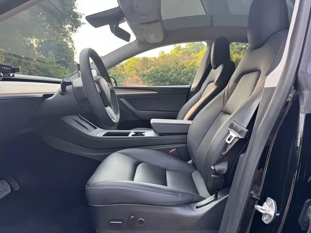 Tesla Model Y 2021 из CN, фото 2