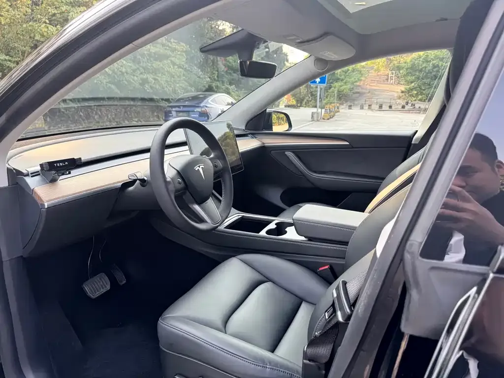 Tesla Model Y 2021 из CN, фото 3