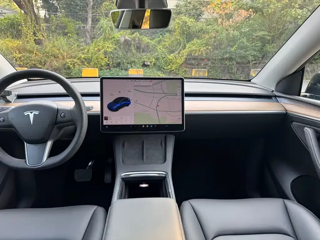 Tesla Model Y 2021 из CN, фото 5