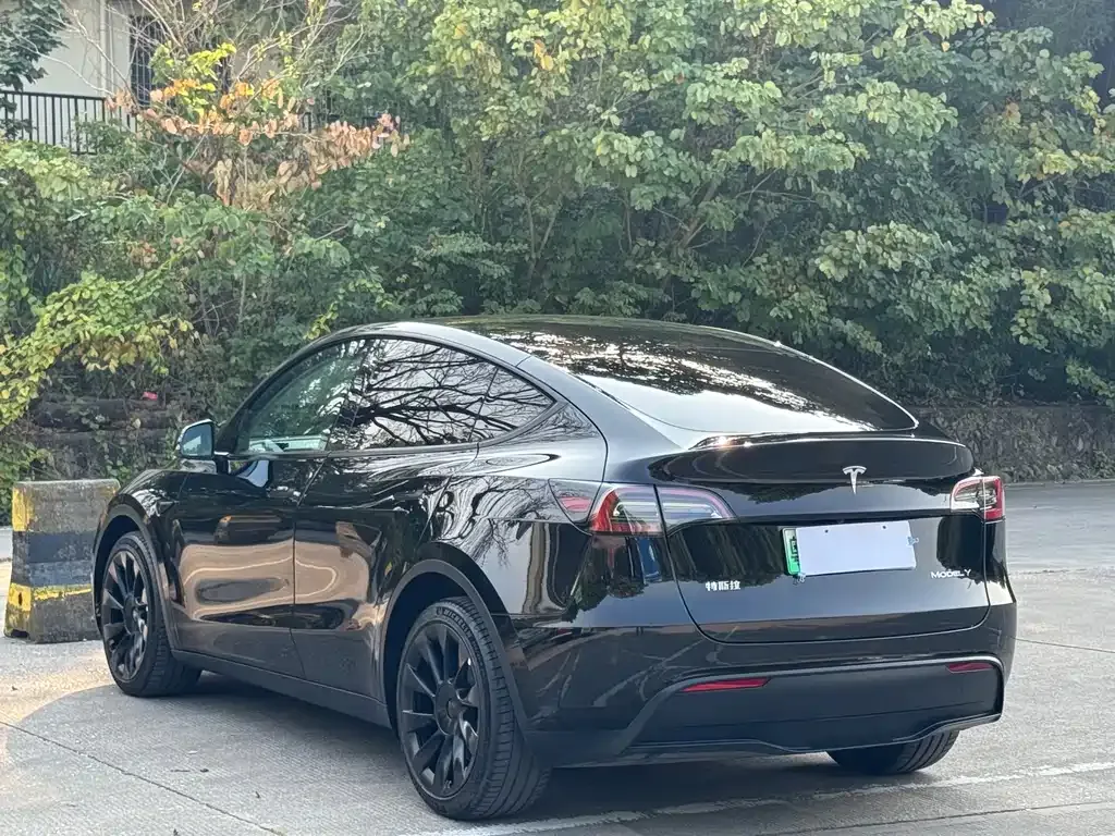 Tesla Model Y 2021 из CN, фото 8