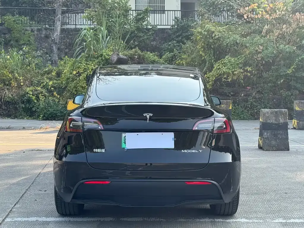 Tesla Model Y 2021 из CN, фото 6