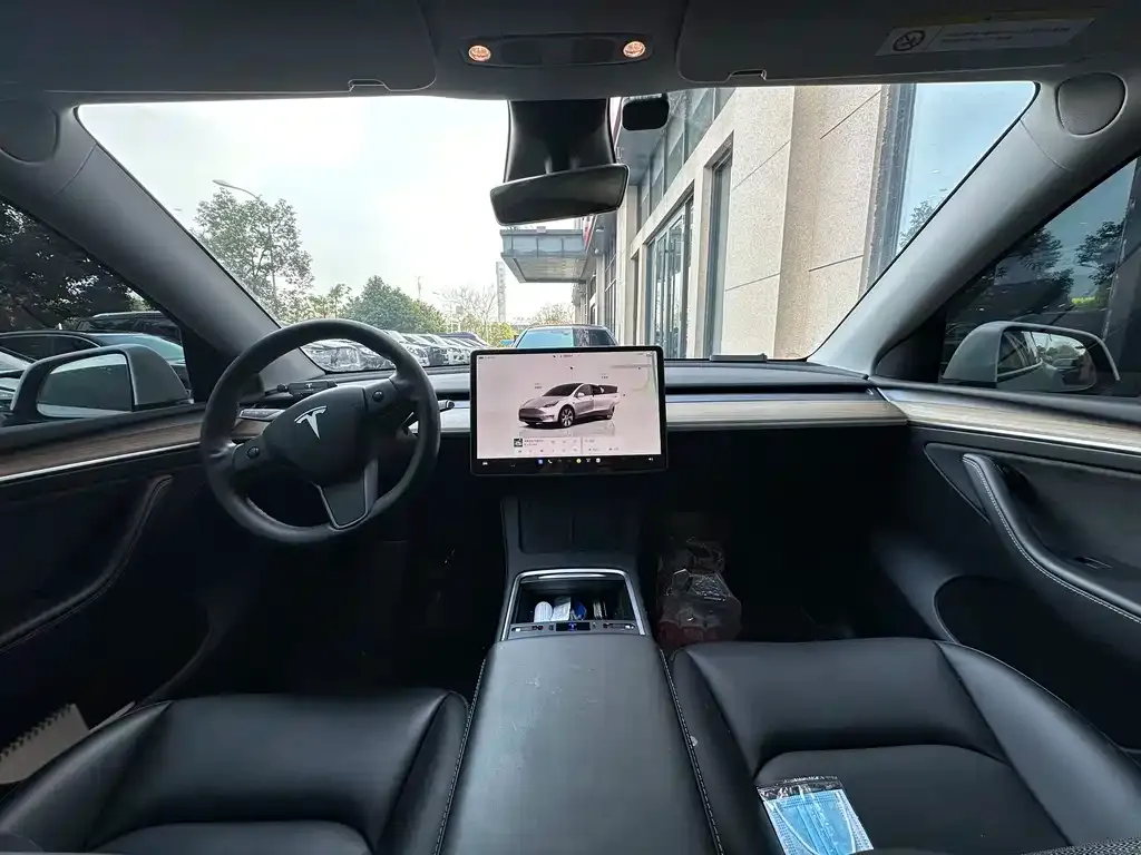 Tesla Model Y — фото 2