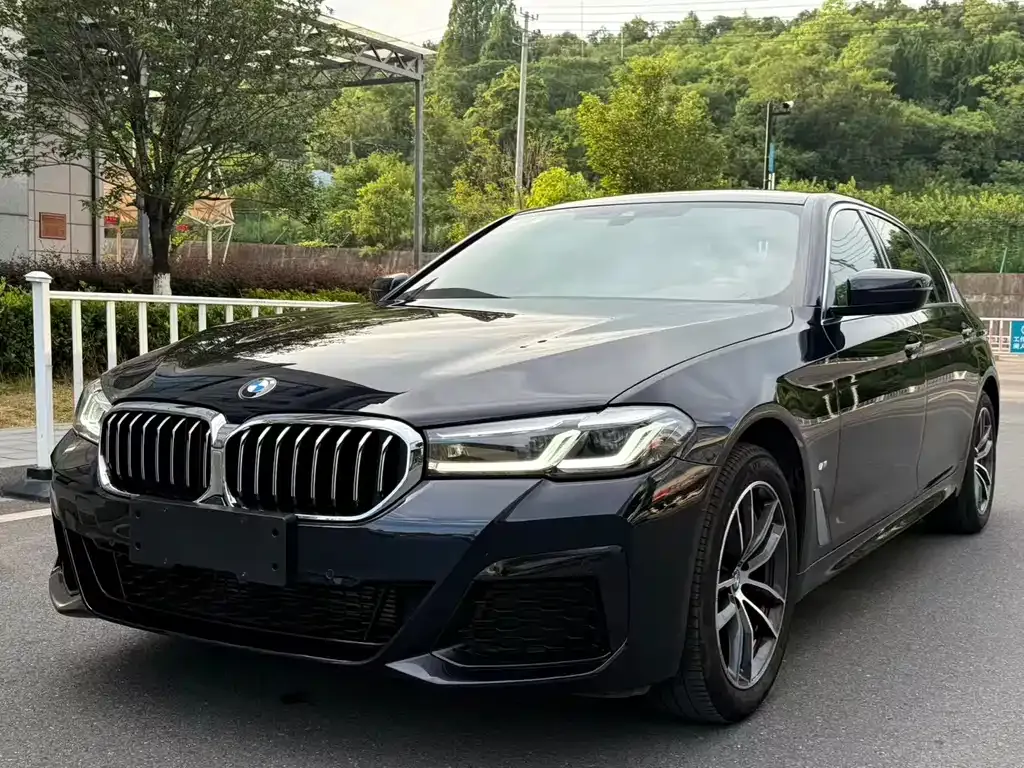 BMW 5 Series 2022 из CN, фото 1