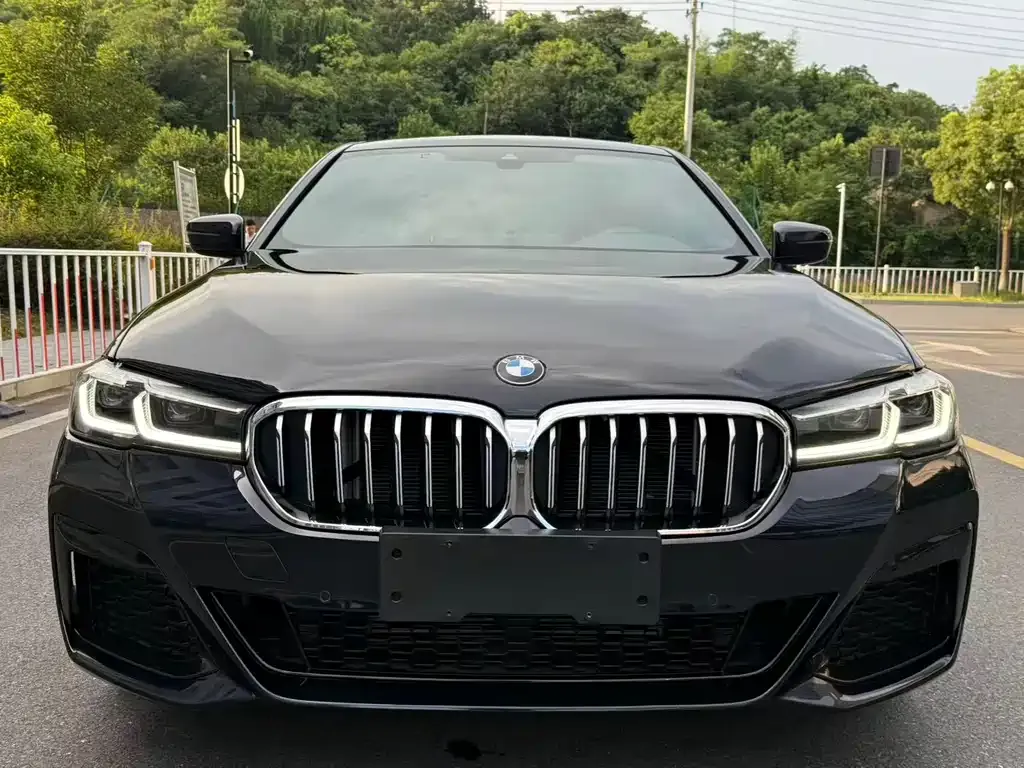 BMW 5 Series 2022 из CN, фото 6