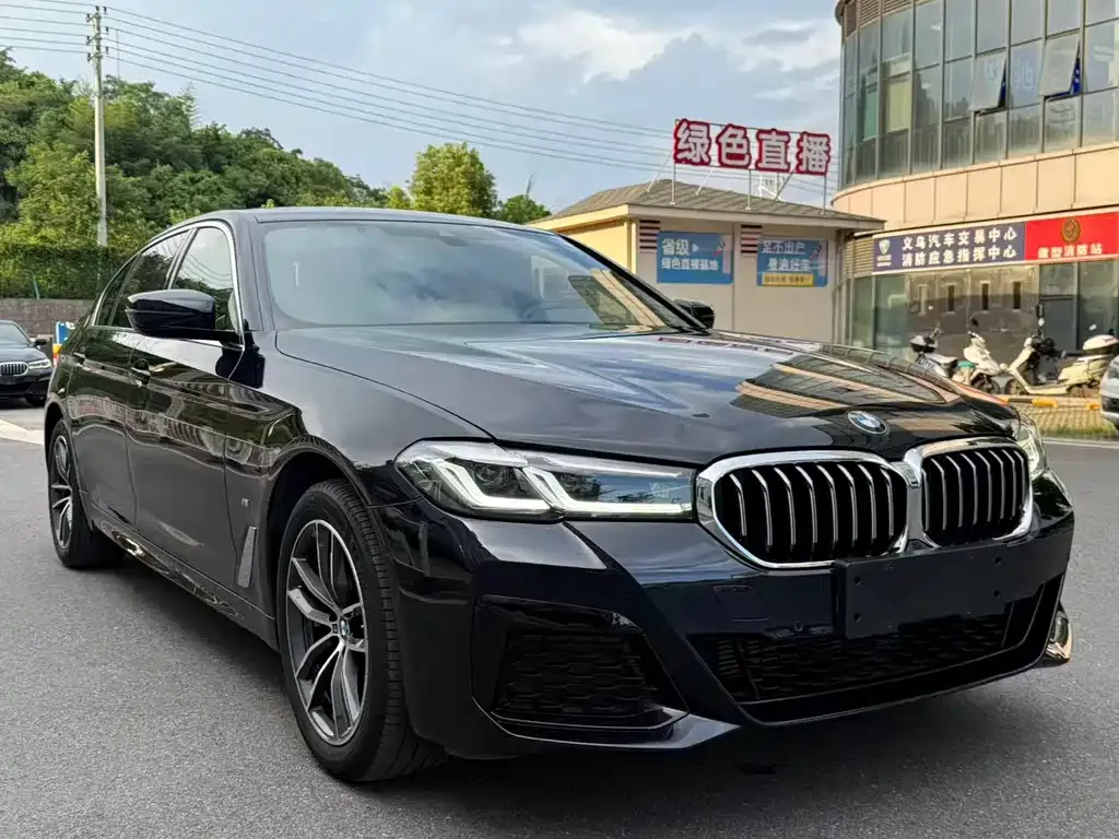 BMW 5 Series 2022 из CN, фото 8