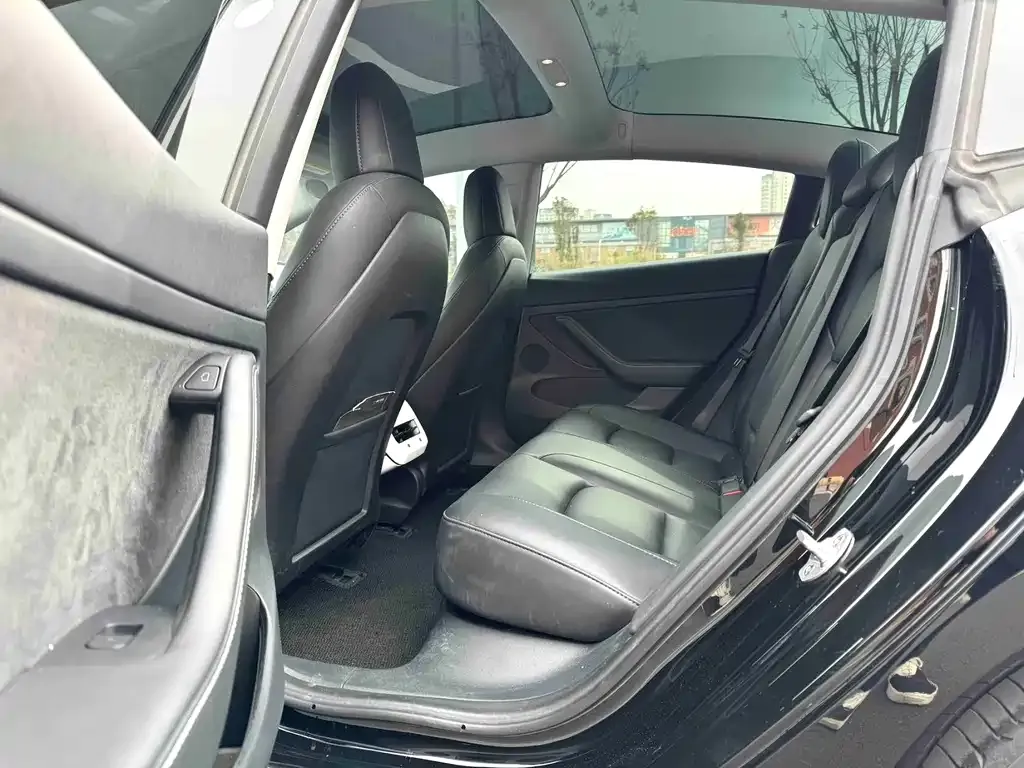 Tesla Model 3 2022 из CN, фото 4