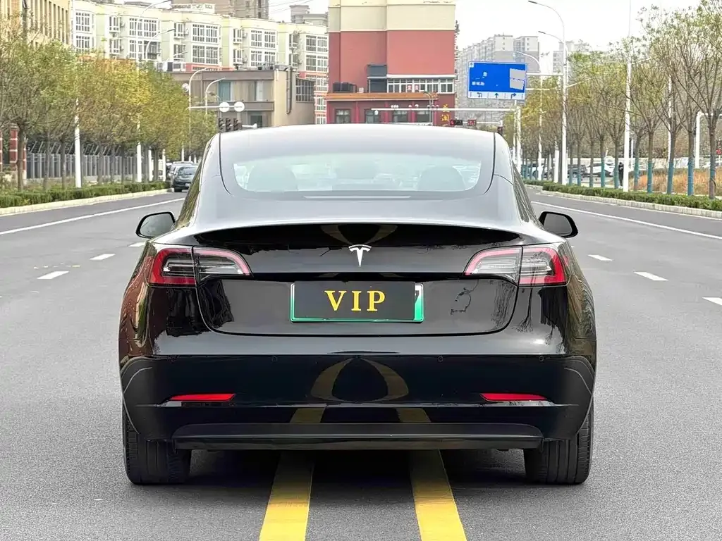 Tesla Model 3 2022 из CN, фото 6