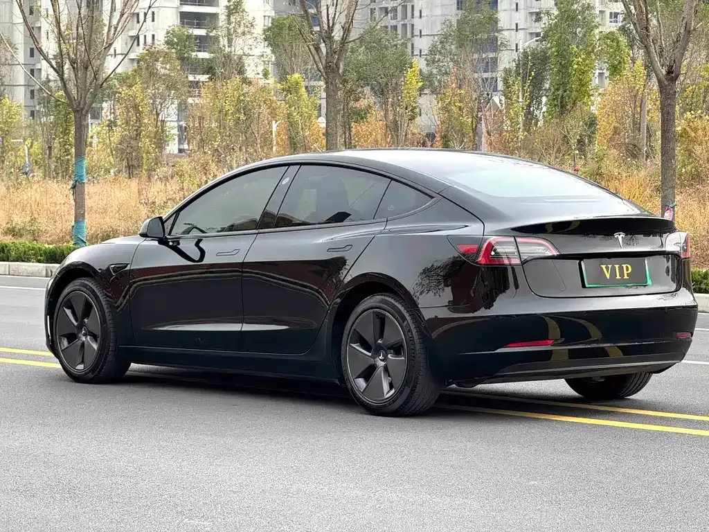 Tesla Model 3 2022 из CN, фото 9