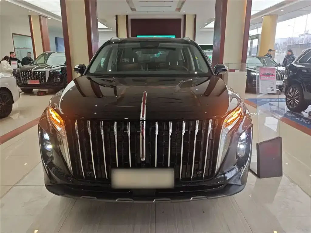 Hongqi HS7 PHEV 2025 из CN, фото 10