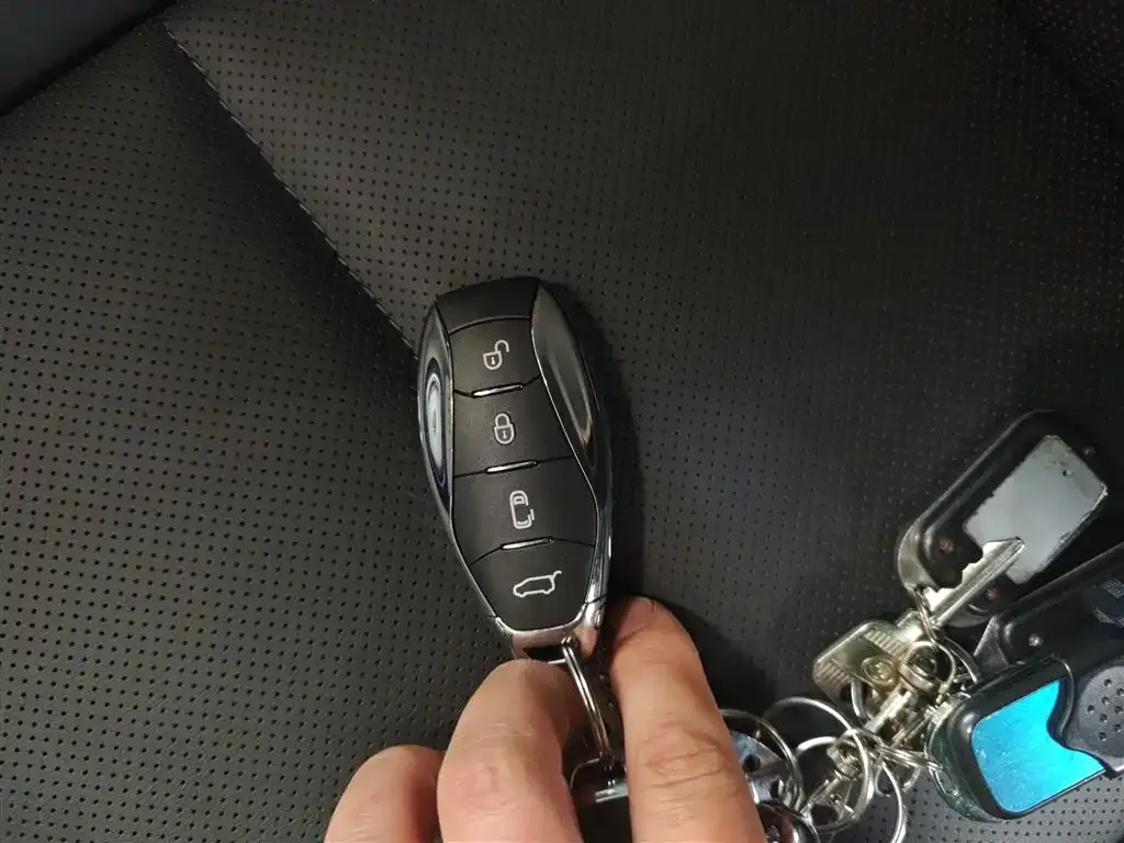 Hongqi HS7 PHEV 2025 из CN, фото 8