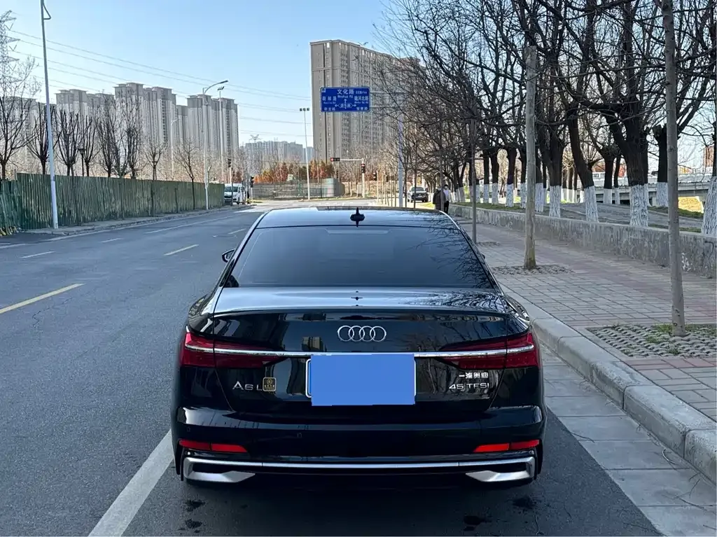 Audi A6L 2023 из CN, фото 7