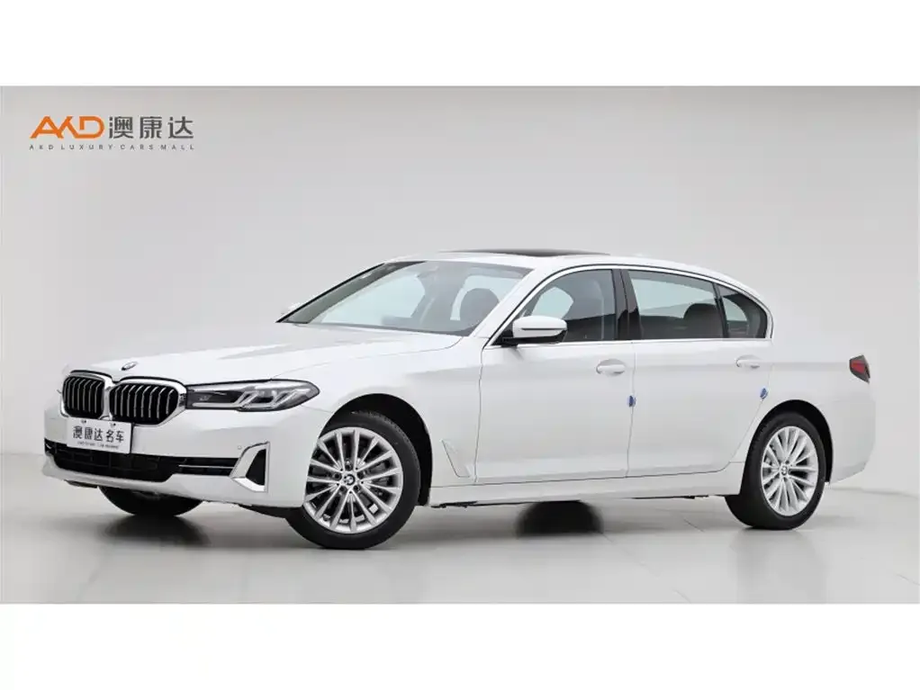 BMW 5 Series 2024 из CN, фото 1
