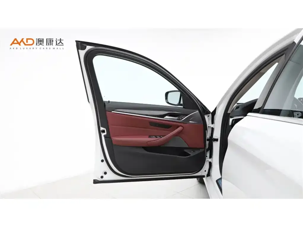 BMW 5 Series 2024 из CN, фото 3