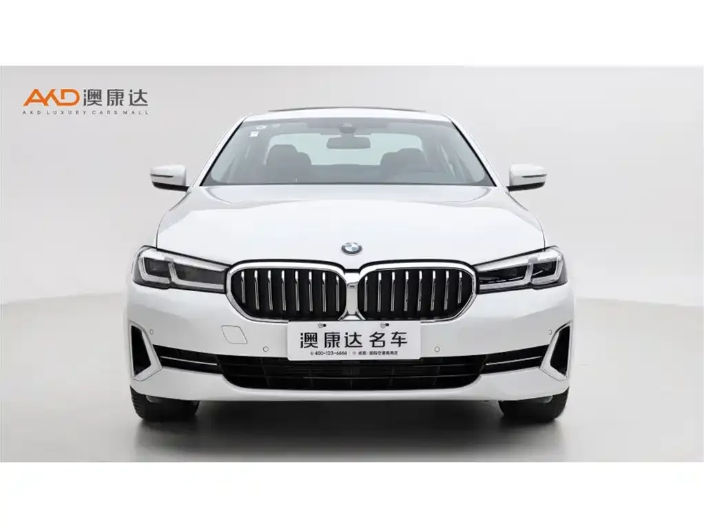 BMW 5 Series 2024 из CN, фото 6