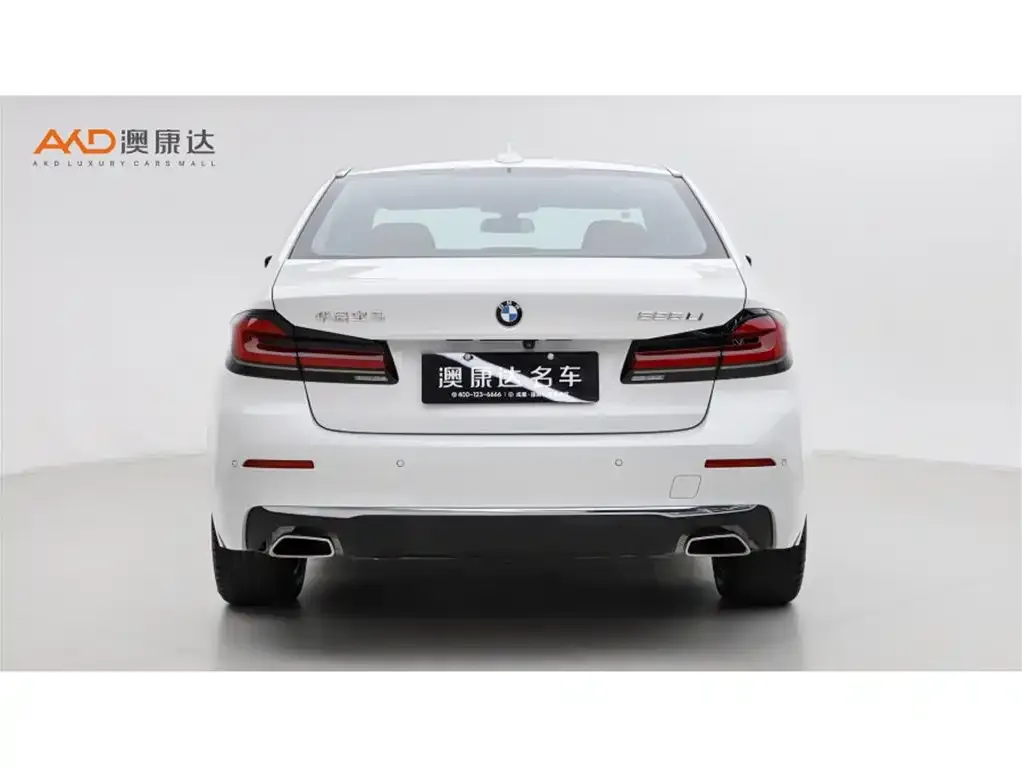 BMW 5 Series 2024 из CN, фото 4