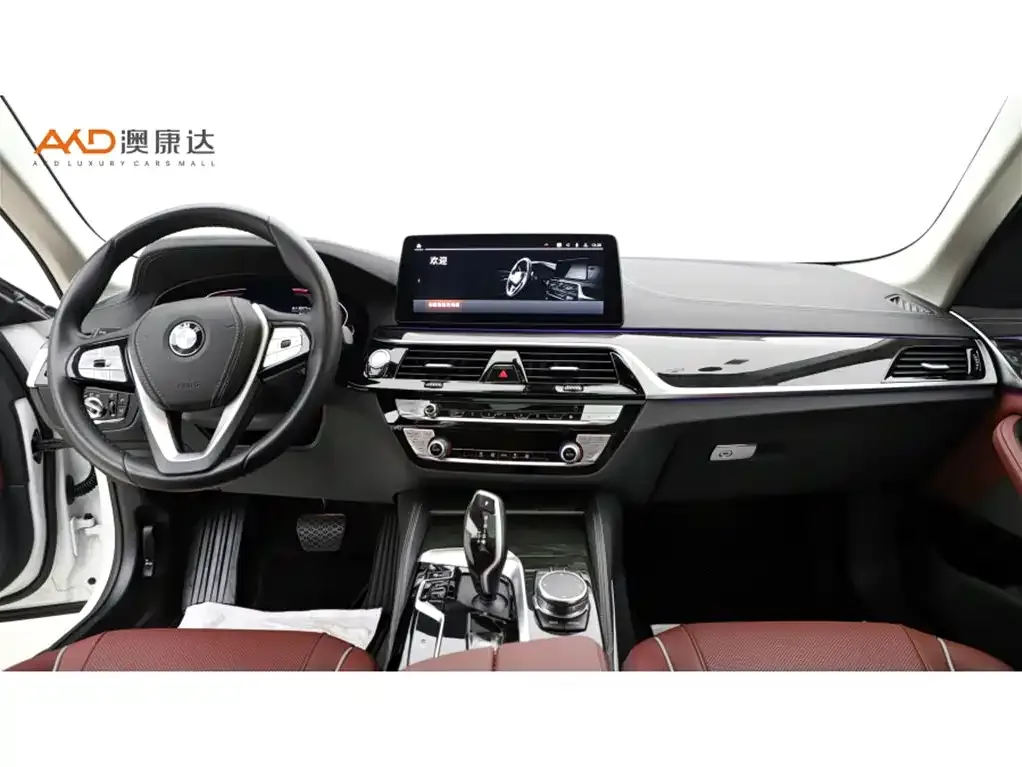 BMW 5 Series 2024 из CN, фото 10