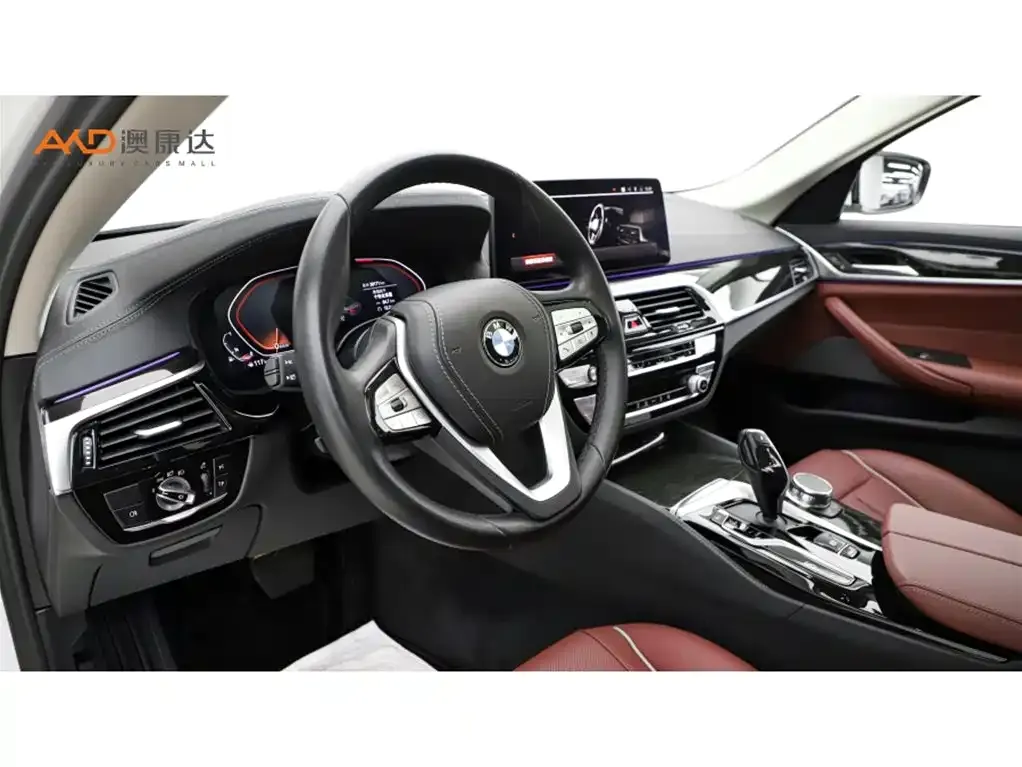 BMW 5 Series 2024 из CN, фото 7