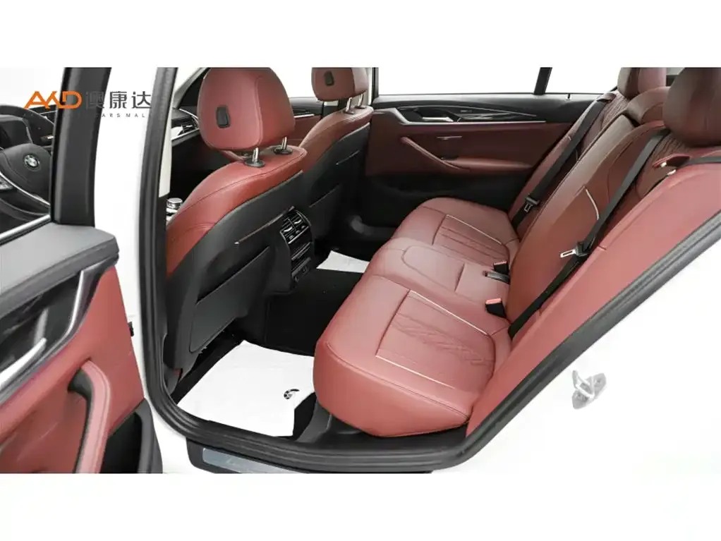 BMW 5 Series 2024 из CN, фото 5