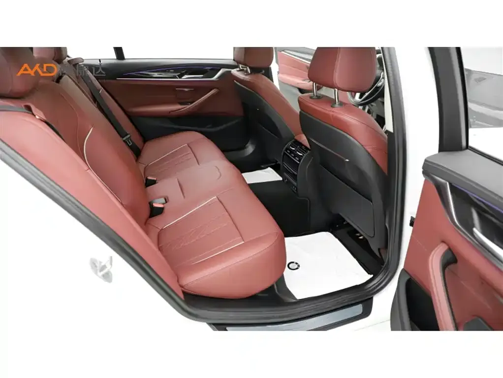 BMW 5 Series 2024 из CN, фото 8