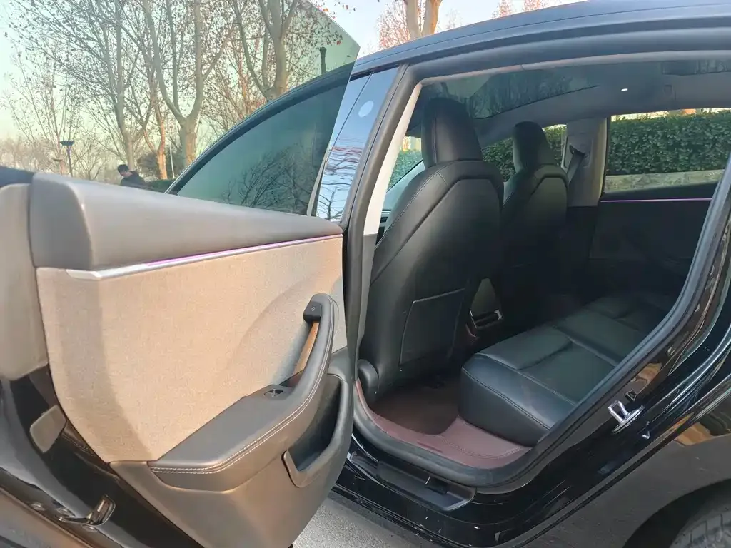 Tesla Model 3 2024 из CN, фото 6