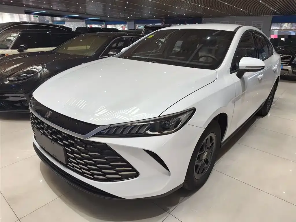 BYD Qin PLUS 2025 из CN, фото 1
