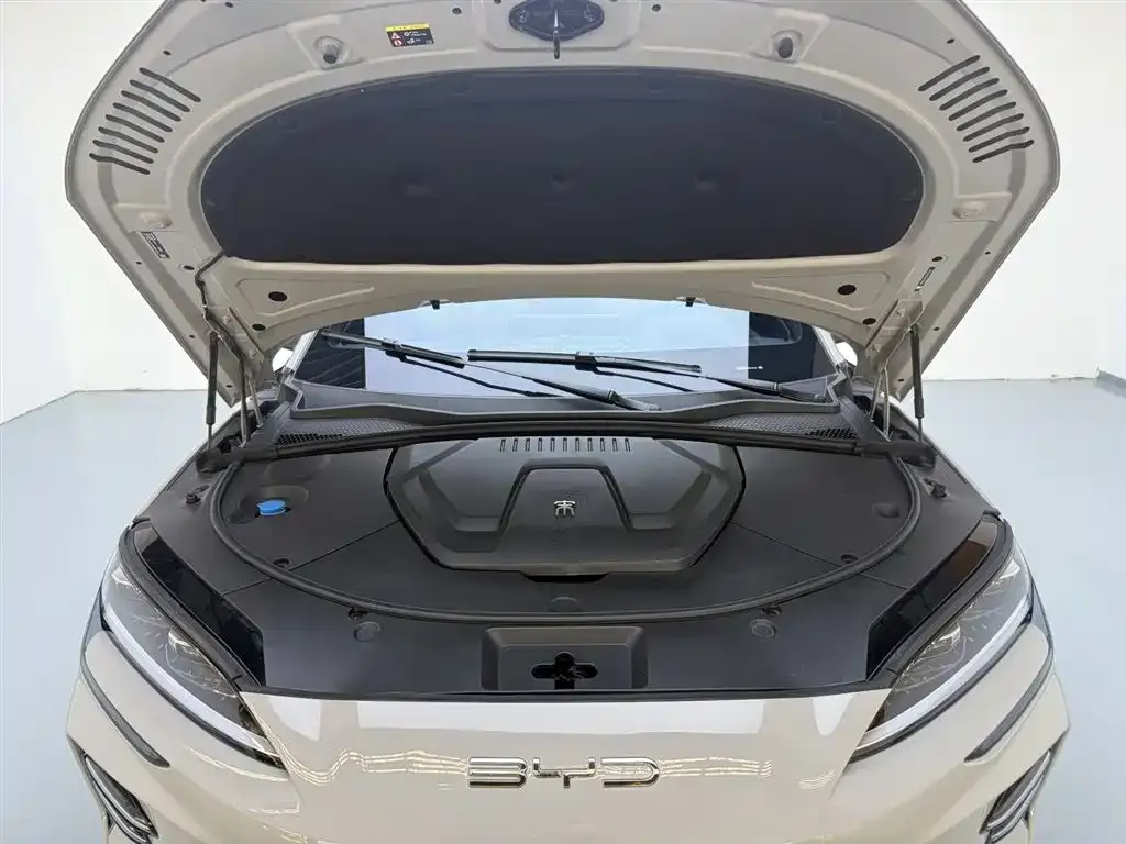 BYD PLUS New Energy — фото 10