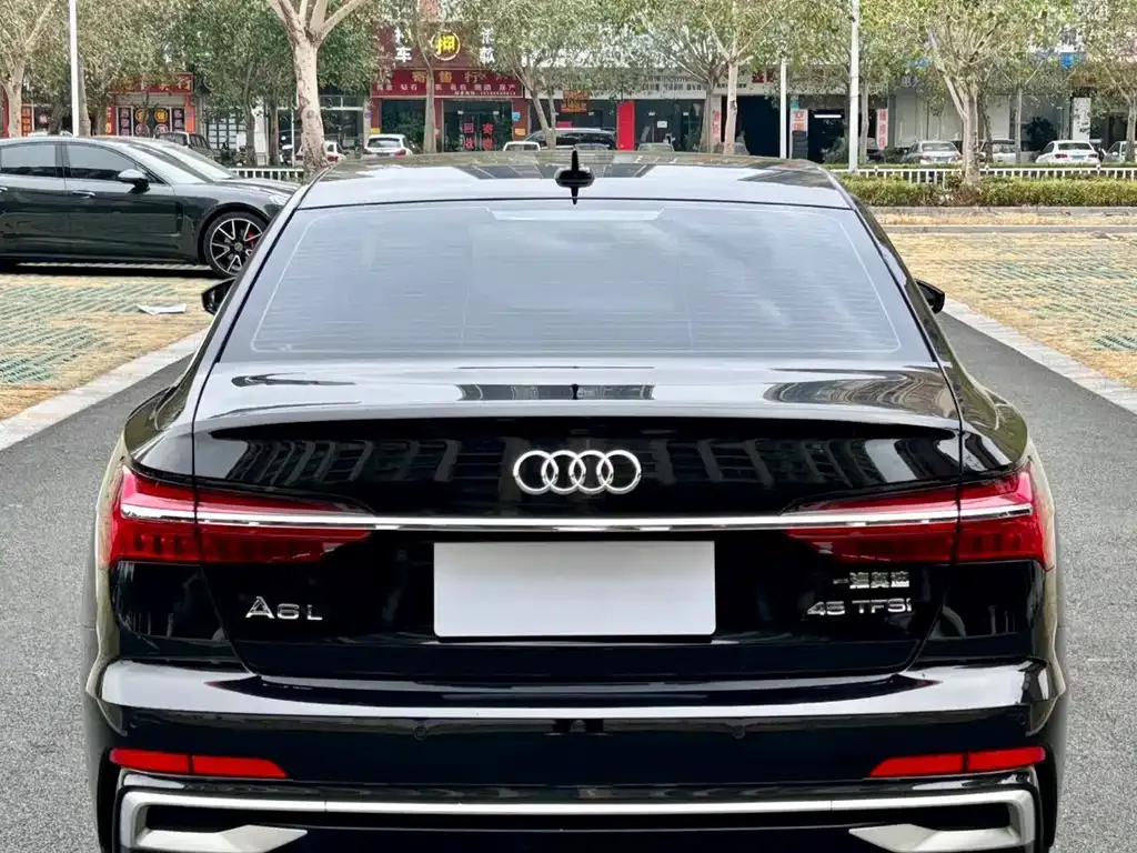 Audi A6L 2023 из CN, фото 2