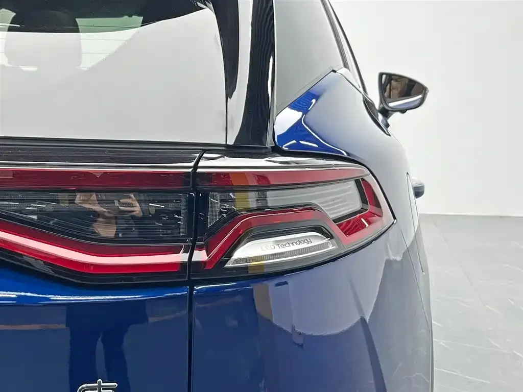 BYD Tang New Energy 2022 из CN, фото 10