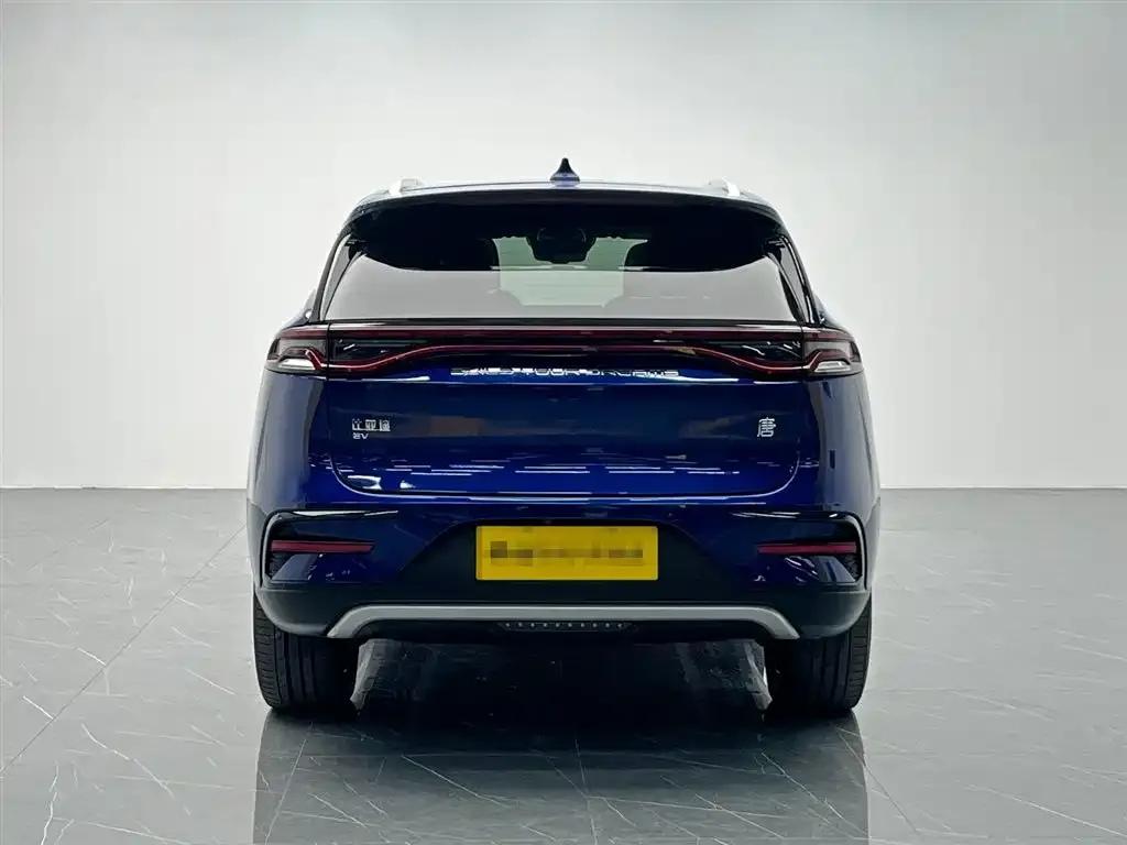 BYD Tang New Energy 2022 из CN, фото 4