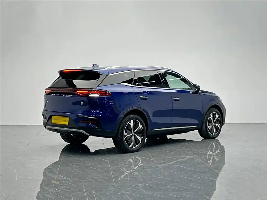 BYD Tang New Energy 2022 из CN, фото 2