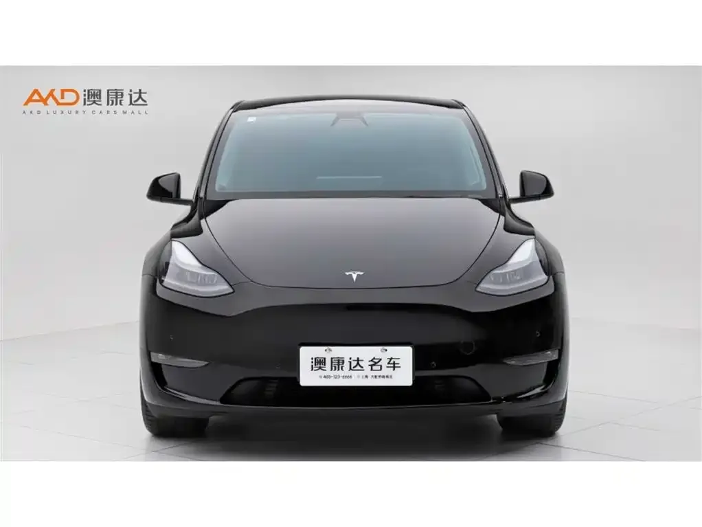 Tesla Model Y — фото 2