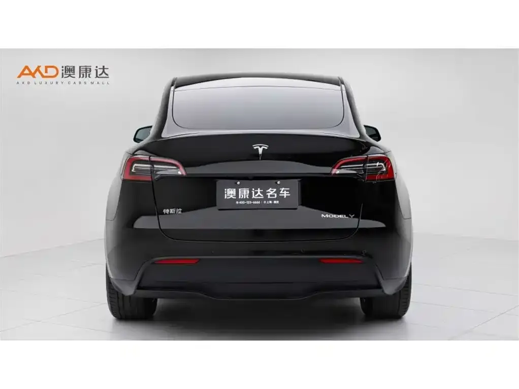 Tesla Model Y — фото 8