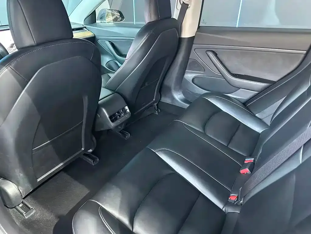 Tesla Model 3 2021 из CN, фото 10