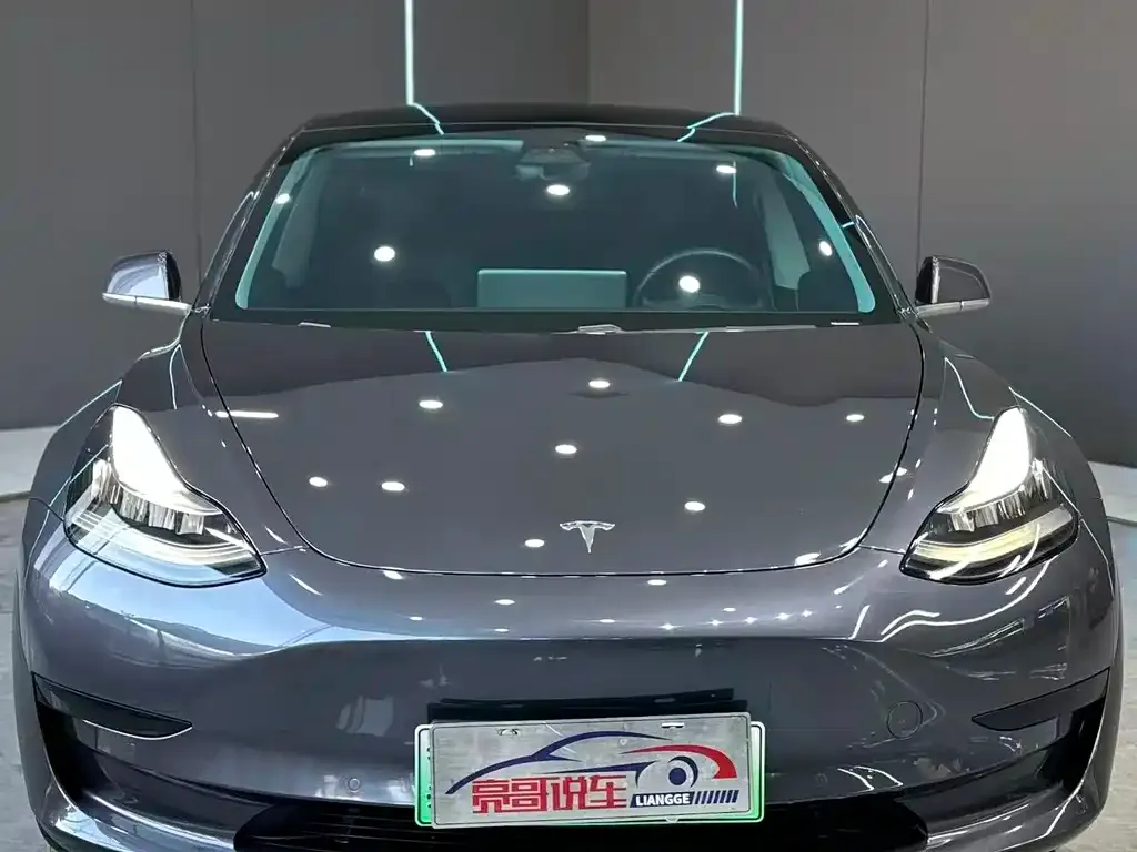 Tesla Model 3 2021 из CN, фото 2