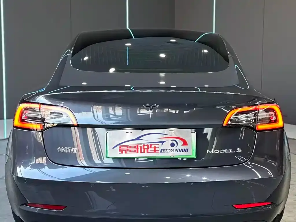Tesla Model 3 2021 из CN, фото 7